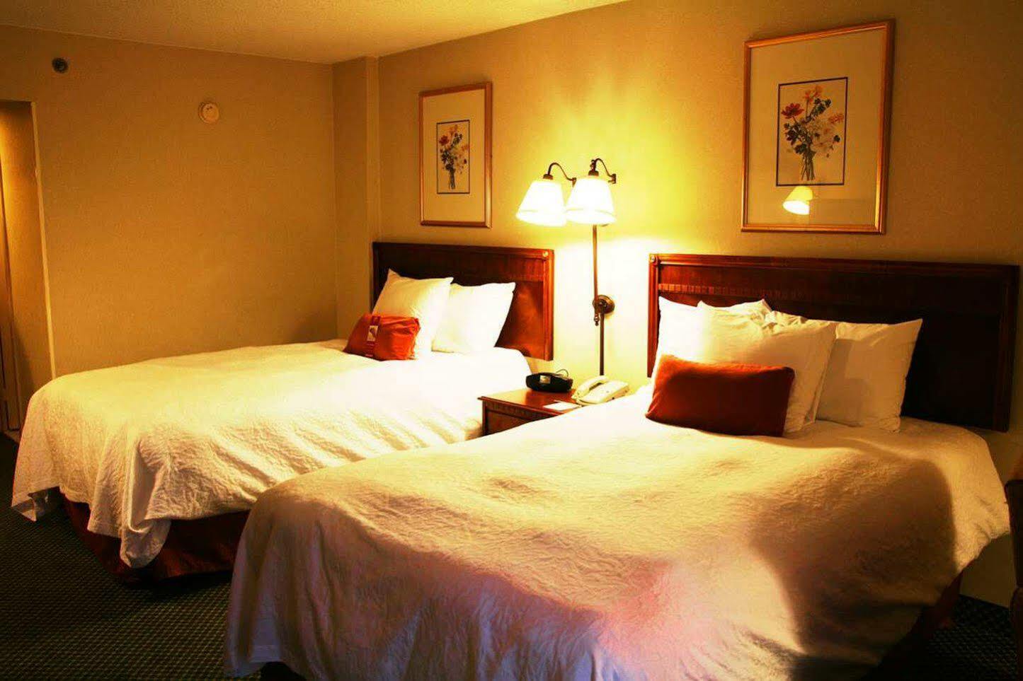 Hampton Inn Atlanta-North Druid Hills Стая снимка